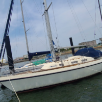 ■オーナー名:川合 将生<br>■セールNo.:-<br>■艇種:Contest35S