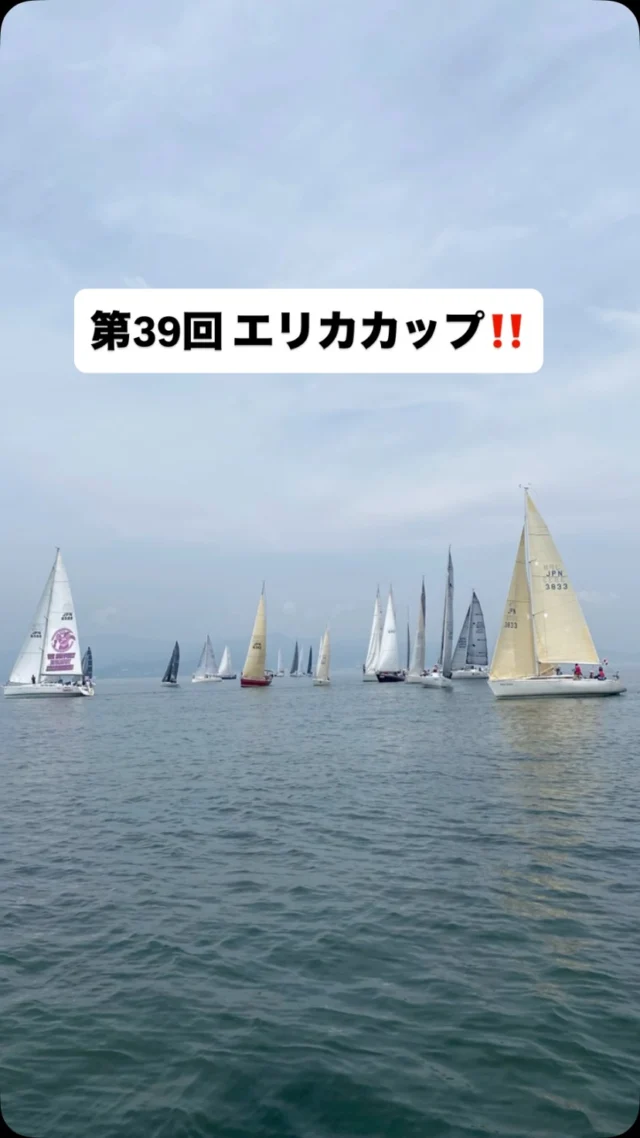 衣浦ヨットクラブ | Let's Enjoy Sailing!